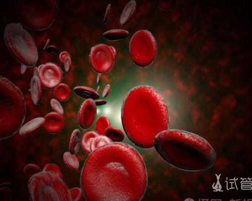 杭州试管助孕费用揭秘：代生、代怀、供卵代怀全解析