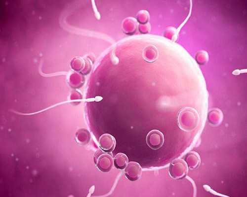 高龄备孕，杭州妇幼试管婴儿成功率解析