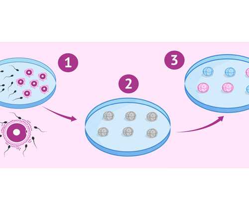 深度解析：2026杭州试管婴儿医院排名与费用指南，助您成功怀上健康宝宝