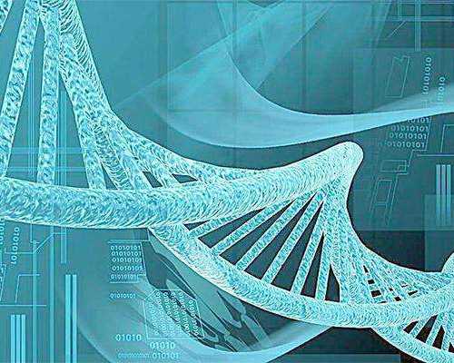 杭州试管助孕医院成功率大比拼：专家解读高成功率指南