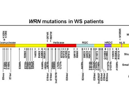 单身女性在杭州做试管婴儿的条件与流程
