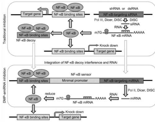 2026年浙江第三代试管婴儿医院选择指南：嘉兴妇保院与邵逸夫医院对比