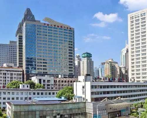 杭州专业助孕优选指南：权威医院与成功率考量