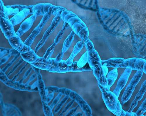 解析代怀价格与供卵可行性：医院选择与成功经验