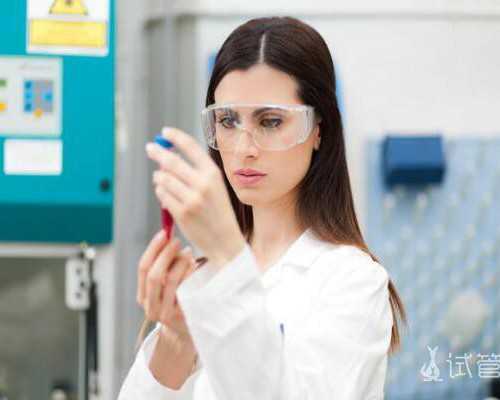 探秘杭州求子之路：代生助孕与供卵费用解析