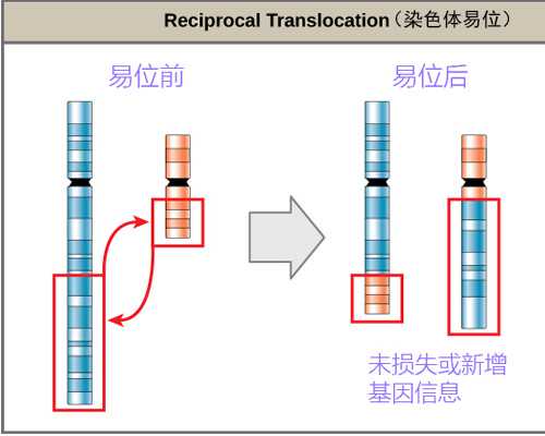 嘉兴与杭州辅助生殖技术对比：妇保院与邵逸夫医院的选择