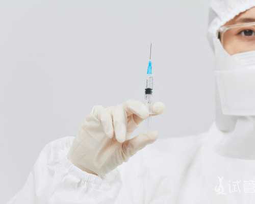 权威助孕机构推荐 辅助生殖技术成功指南