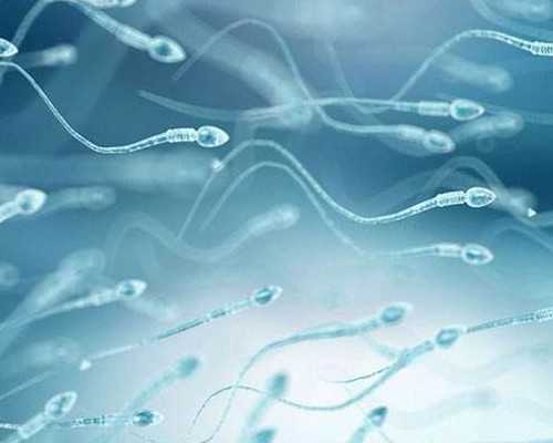 杭州gay代生,杭州我要捐卵,杭州捐卵机构